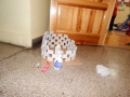 DSCN4138